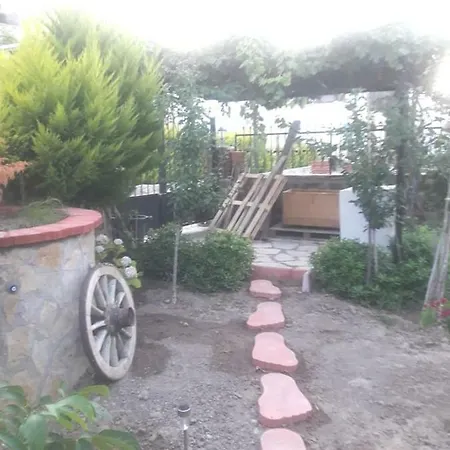 Guemuesluek Stuedyo Kuecuekev-2 *